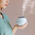 Best Seller home Electric Usb 5V Modern Diffuser Fan  Electric Two Level Of Fog Diffusers