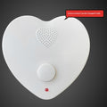 Voice Prompter Button Gift Recording Box