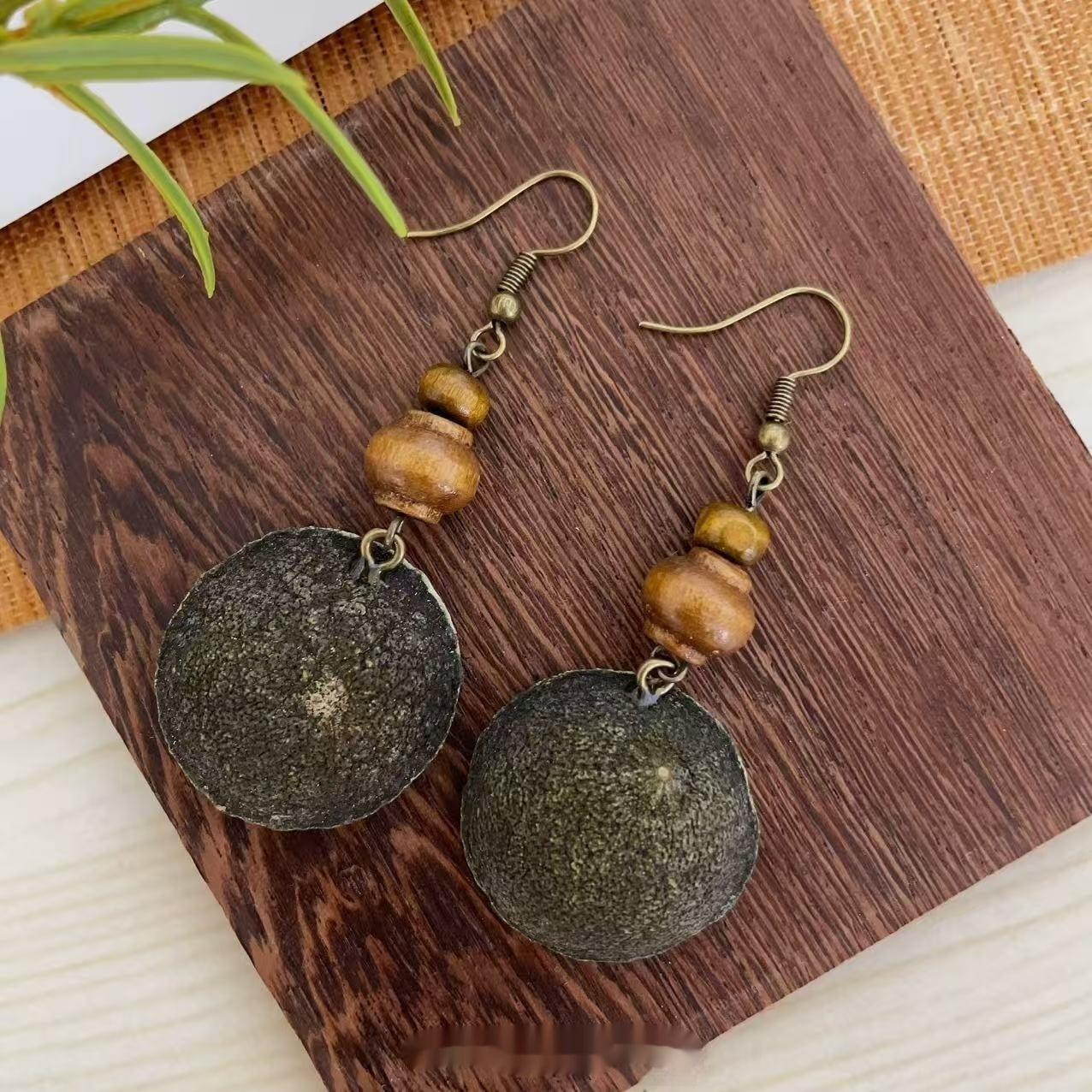 Natural Herbal Plant Fruit Earrings