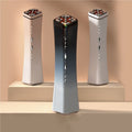 RF Beauty Instrument Home Maggie EMS Skin Rejuvenation Inductive Therapeutical Instrument