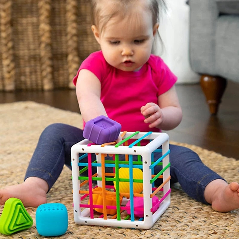 Baby Montessori Toys Sensory Exploration Rattle Ball Toy