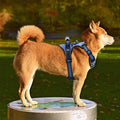 Dog Harness No Pull Breathable Reflective Pet Harness Vest