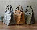 Dupont Paper Lunch Bag Insulation Refrigerated Portable Waterproof Storage Bag