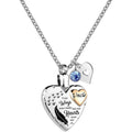 Stainless Steel Heart Pendant Pet Ashes Necklace