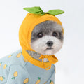 Cute Orange Pet Dog Hat
