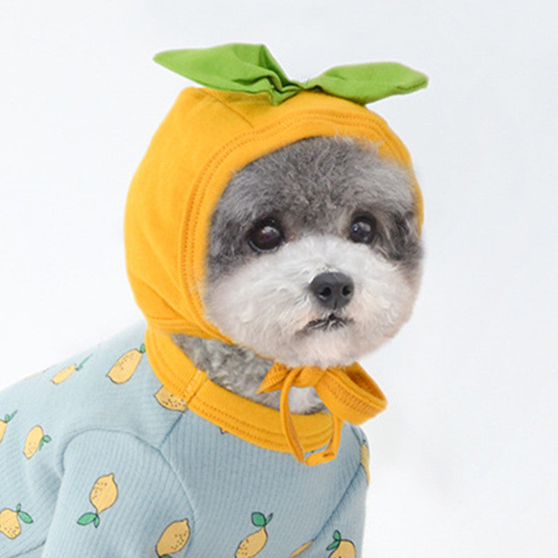 Cute Orange Pet Dog Hat