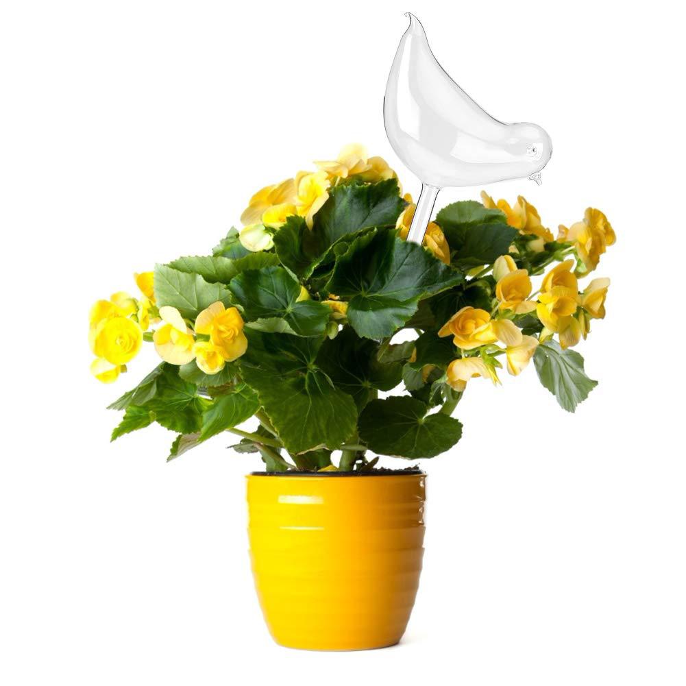 Plant Self Watering Globe Plants Water Lamps Bird Shape Clear Glass Watering Device