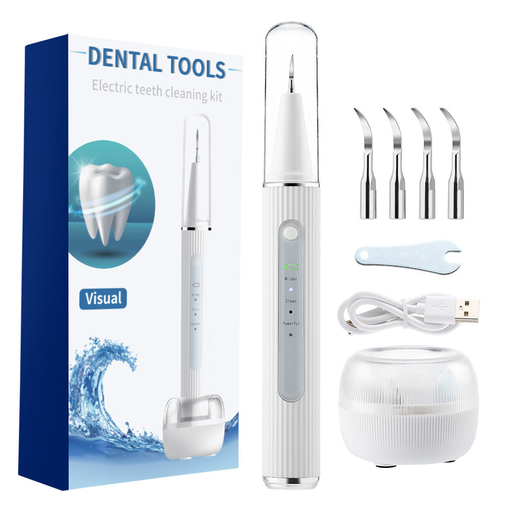 Ultrasonic Dental Cleaner With Camera Teeth Whitening Visual Dental Scaler